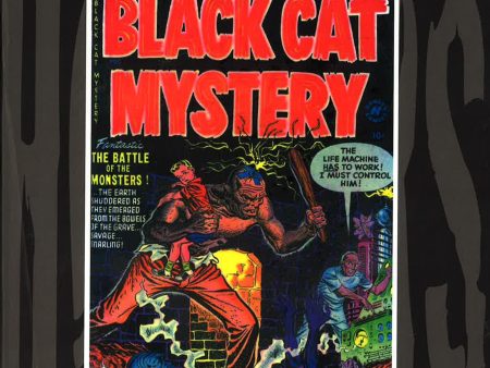 Black Cat Mystery Volume 2 For Sale