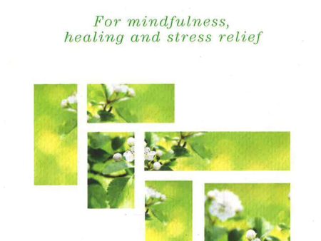 Meditations: For Mindfulness, Healing And Stress Relief Cheap